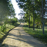 Photos: image 1 of 19