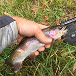 Photos: image 19 of 19