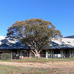 Photos: image 3 of 19