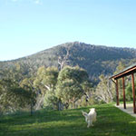 Photos: image 6 of 19